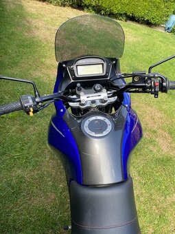 Suzuki XF 650 Freewind - 6