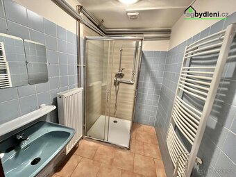 Pronájem bytu 2+kk, 65 m2, Město Touškov - 6
