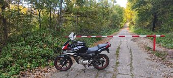 Honda cbf 125 - 6