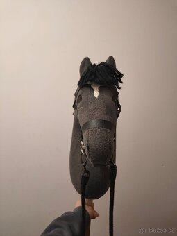 Hobby Horse - 6