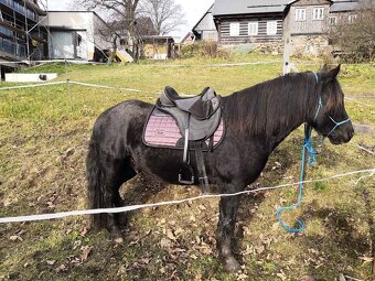 Bezkostrové sedlo Barefoot Just Adjust - 6