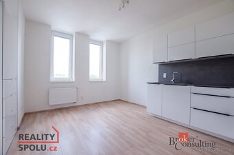 Pronájem, byty/1+kk, 35 m2, U Velkého rybníka 2313/27, 30100 - 6