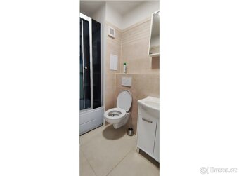 Pronájem bytu 1+kk s lodžií, 30m2, pěkný výhled - 6
