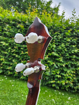Parohaté elitní banjo Průcha 1990...Staghorn - 6