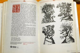 Syn čarodějnice - 6