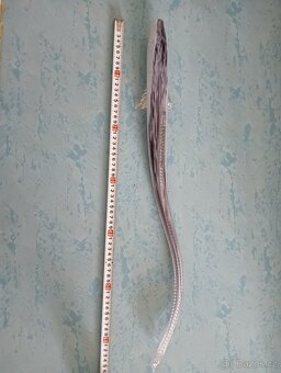 Úhoř a delfín - 6