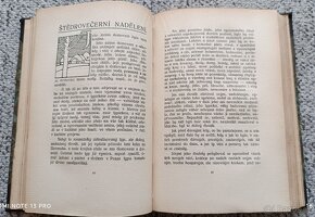 J.K.Šlejhar - Maloměstská idylla - 6