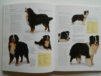 Pes a péče o něj - 6