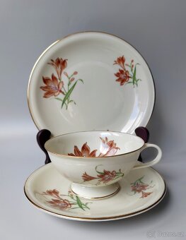 Sběratelský porcelánový čajový set/sada Hutschenreuther - 6