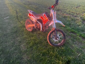 Pitbike 110 - 6