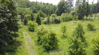 Prodej velkého pozemku 3670m2 uprostřed lesa - 6