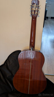 Kytara zn. Washburn C40 - 6