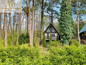 Prodej chaty v lese u rybníka, Svojšice - 6