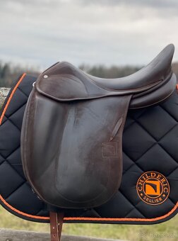 Drezurní Childéric s příslušenstvím v CENĚ - 6