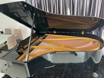 Grotrian-Steinweg - 6