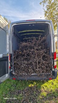 Stěhování, odvoz nábytku i odpadu v Praze - 6