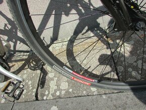 Dámské kolo Author Enigma - 6