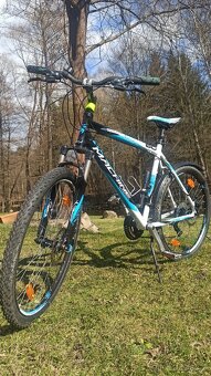 Kolo Rock Machine - 6