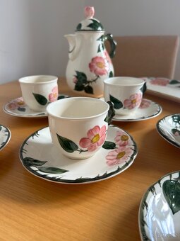 servis Villeroy & Boch Wild Rose - 6
