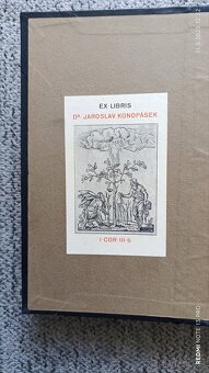 Bible česká - 6