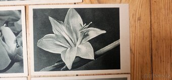 Staré pohledy - 6