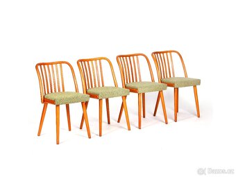 A. Šuman, přečalouněné dubové židle TON 4 kusy. - 6