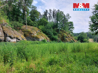 Prodej louky, 1003 m², Vysoká - 6