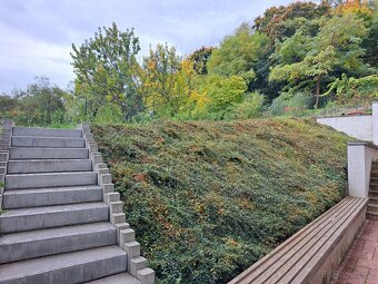 Pronájem vybaveného 2kk u centra Brna - 6