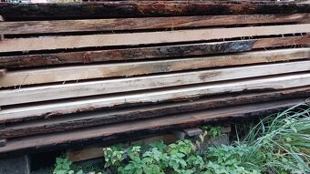 Dub červený a hnědý - 6