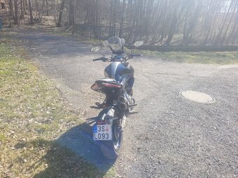 Zontes 310 Road - 6