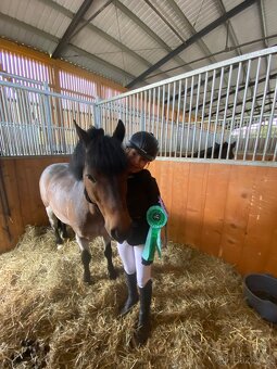 Charakterní první pony kat. S - 6