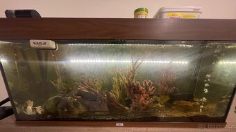 Akvárium a ryby - 6