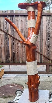 Kočičí strom - škrabadlo - 6