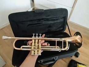 Trumpeta - 6