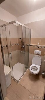 Pronájem bytu 2+1 - 53 m2 - 6