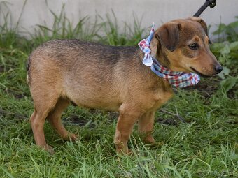 Jeremy hledá domov - 6