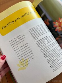NOVÉ Pokojové rostliny krok za krokem - jak na to - 6
