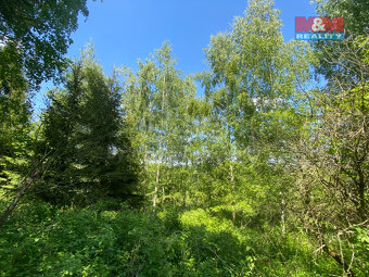 Prodej lesa, 15167 m², Kropáčova Vrutice - 6
