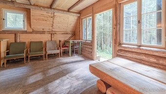 Lesní pozemek s dřevěnou chatou - 6