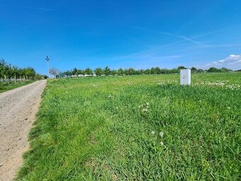 Exkluzivní nabídka stavebního pozemku v Mistřicích o 1734 m² - 6