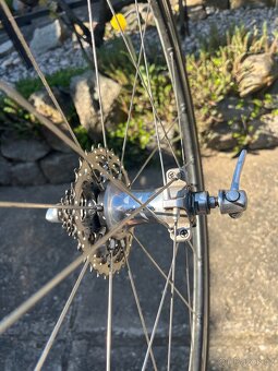 Cboardman M/L - 6