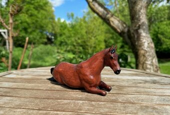 3D fotografie a figurky domácích mazlíčků - 6