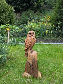 Dřevěná socha - sova - 6