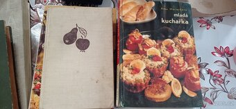 Prodám starou kuchařky od Hanny Dumkové - 6