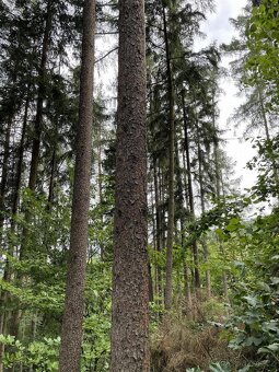 Prodám pozemky v k.ú. Dolní Bohdíkov - 6