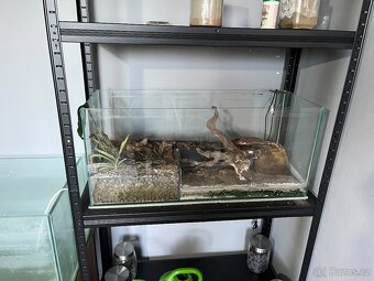 Akvária, filtry, světla (Twinstar) - akvaristika - 6