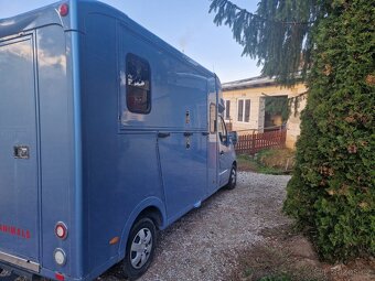 Přepravní na koně Renault Master Paragan Excelsion 5 - 6
