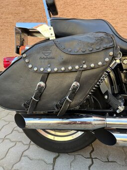 Harley Davidson FXDS-CONV Dyna Convertible Evolution 1338 - 6
