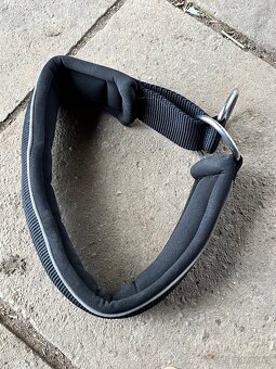 Postroj a obojek M - 6