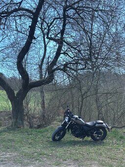 Honda CMX 500 rebel - 6